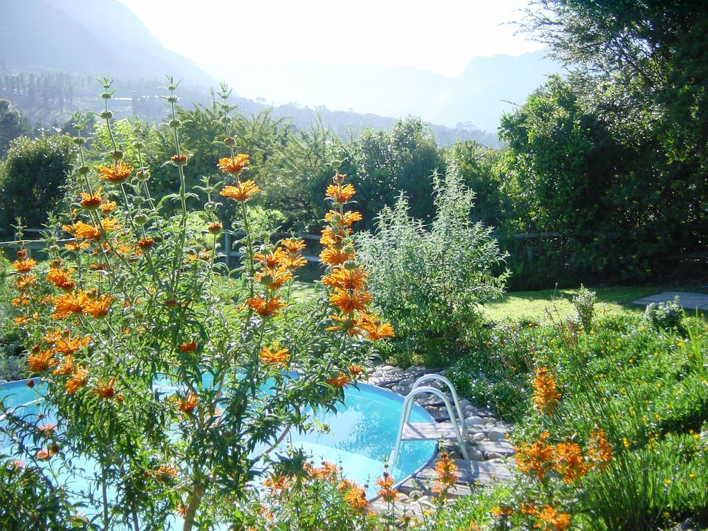 Kairos Lodge Hout Bay Kültér fotó