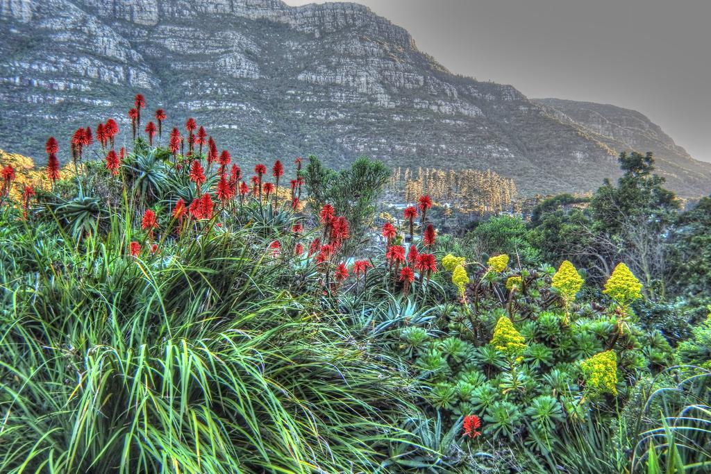 Kairos Lodge Hout Bay Kültér fotó